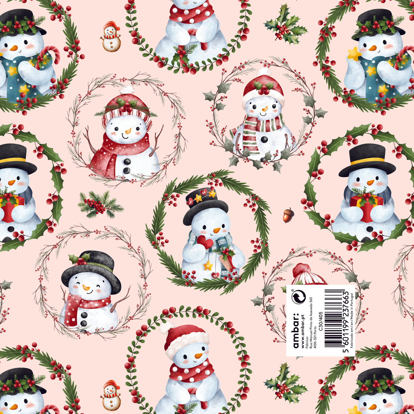 Papel Natal Frosty Friends C30/405