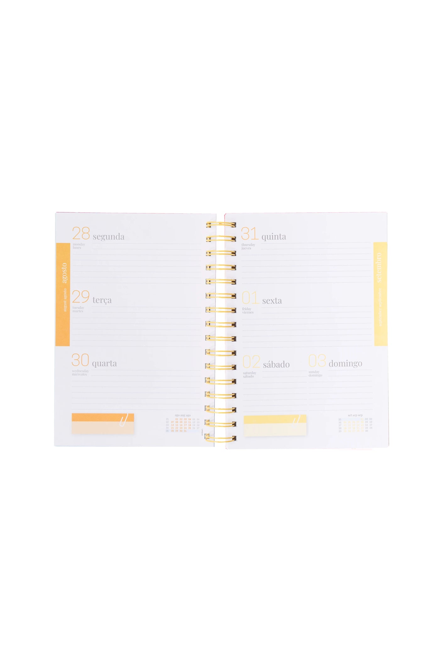 Agenda Escolar A5 New Magical World